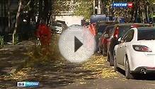 В Москве вновь спорят о пользе уборки листьев